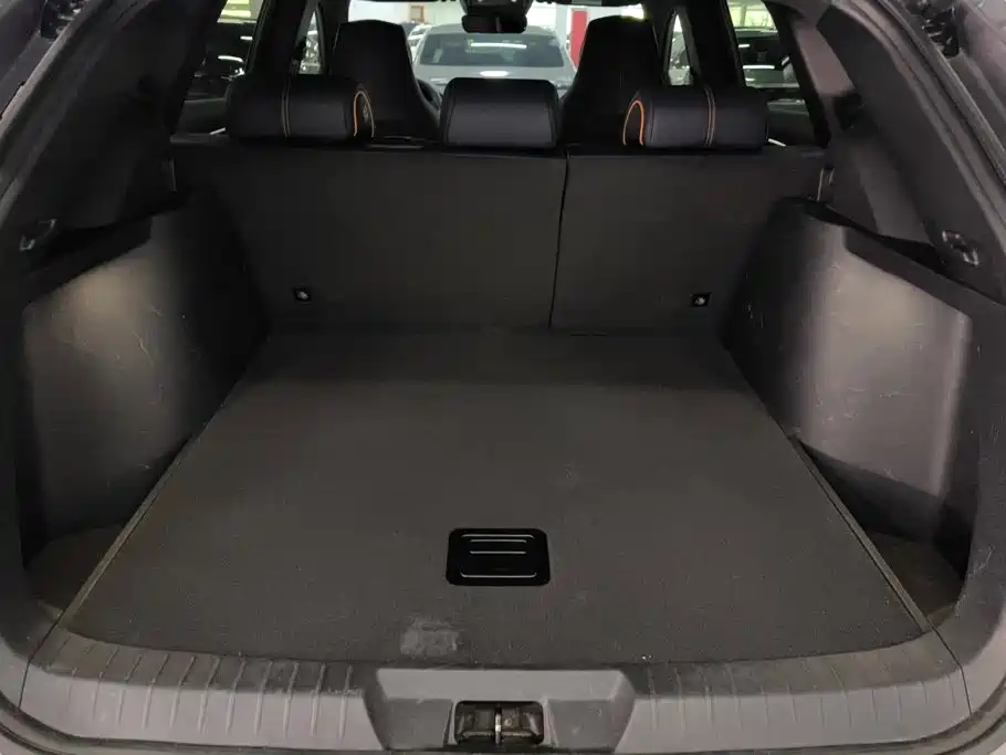 BYD Song PLUS New Energy 2022 — фото 4