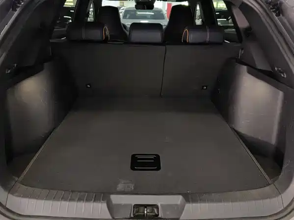 BYD Song PLUS New Energy 2022