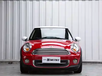 MINI MINI 2013