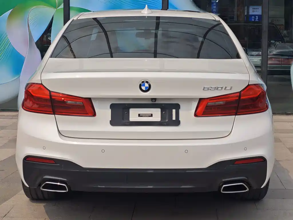 BMW 5 Series 2019