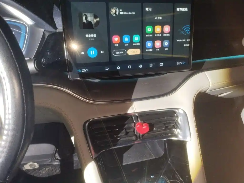 BYD Song PLUS New Energy 2022 — фото 14