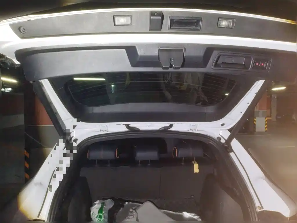 BYD Song PLUS New Energy 2022 — фото 20