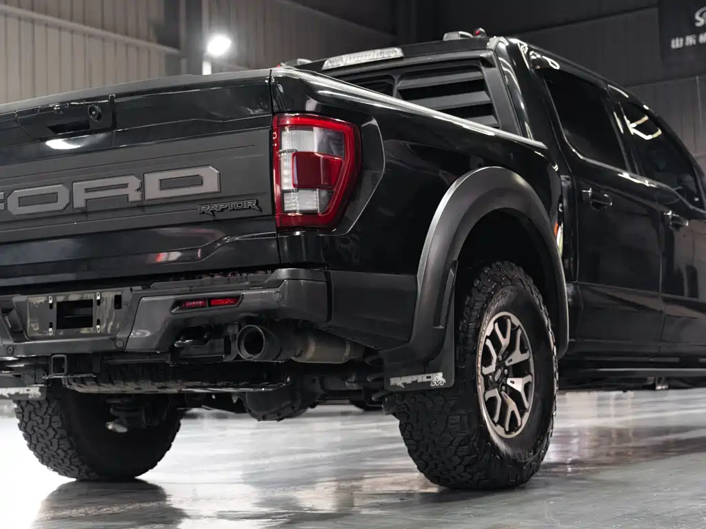 Ford F-150 Raptor 2023 — фото 9