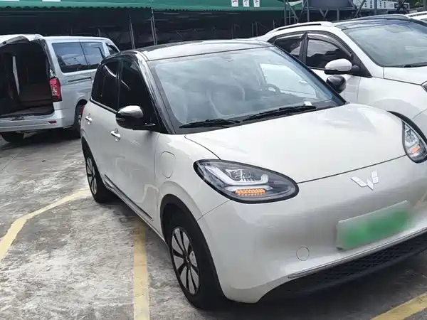 Wuling Bingo 2024