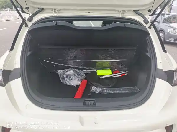 BYD Dolphin 2026
