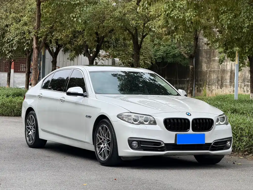BMW 5 Series 2017