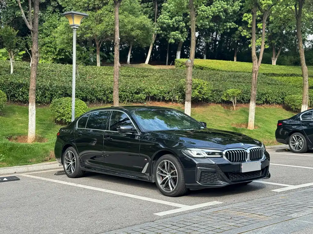 BMW 5 Series 2022