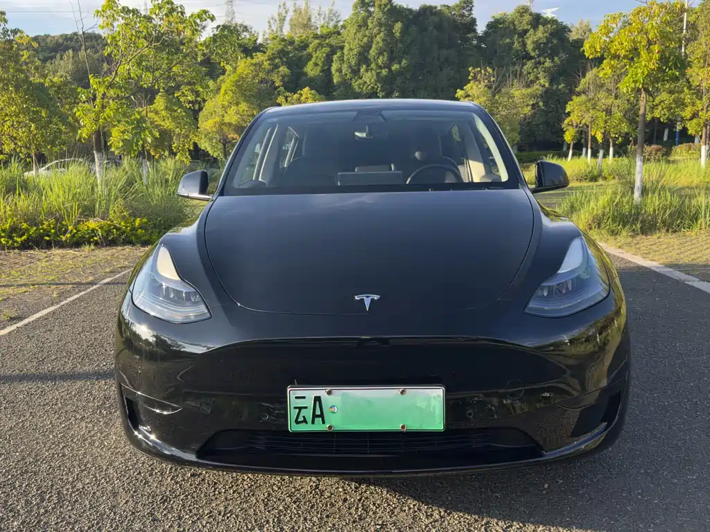 Tesla Model Y 2023 — фото 2