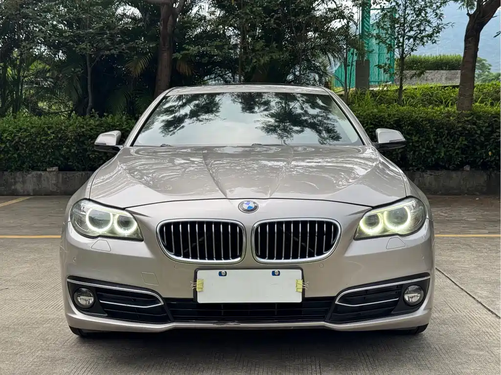 BMW 5 Series 2016 — фото 2