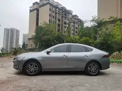 BYD Qin PLUS 2021