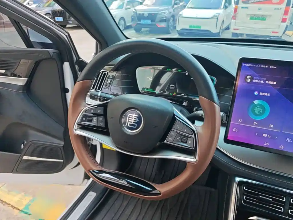 BYD Tang New Energy 2020 — фото 11