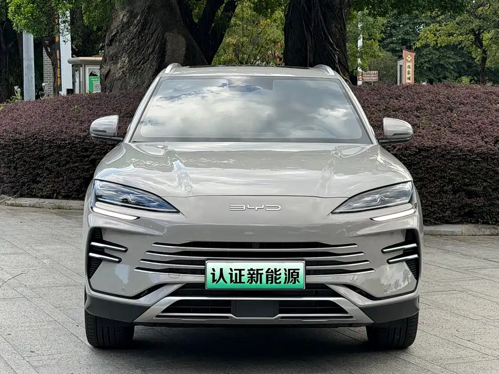 BYD Song PLUS New Energy 2024 — фото 2