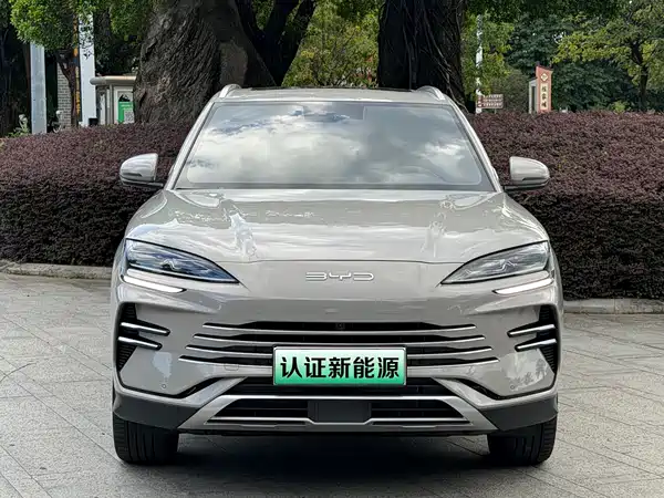 BYD Song PLUS New Energy 2024