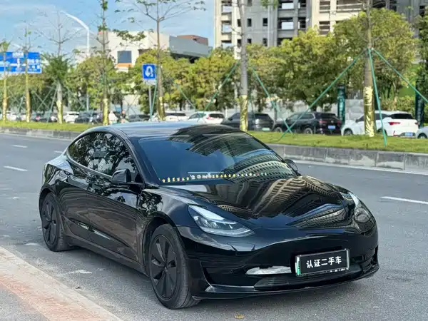 Tesla Model 3 2020