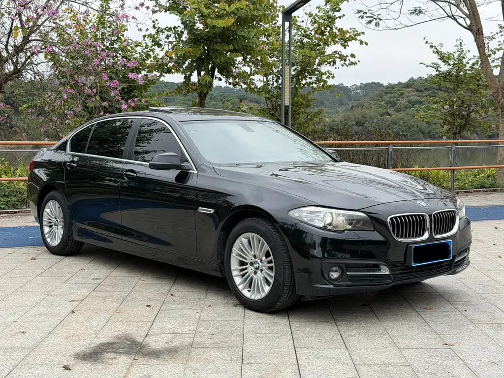BMW 5 Series 2014 — фото 3