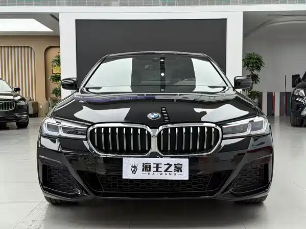 BMW 5 Series 2021
