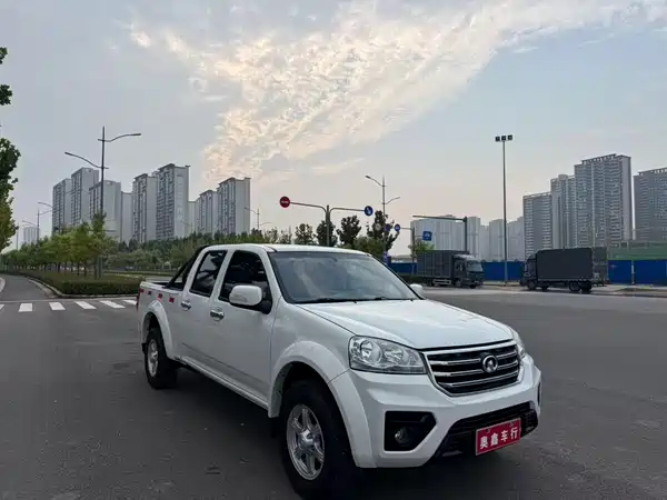 Great Wall Wingle 5 2019