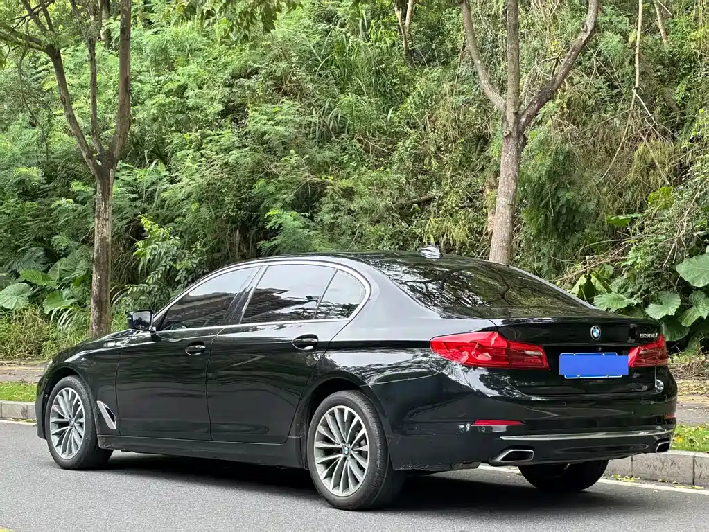 BMW 5 Series 2019