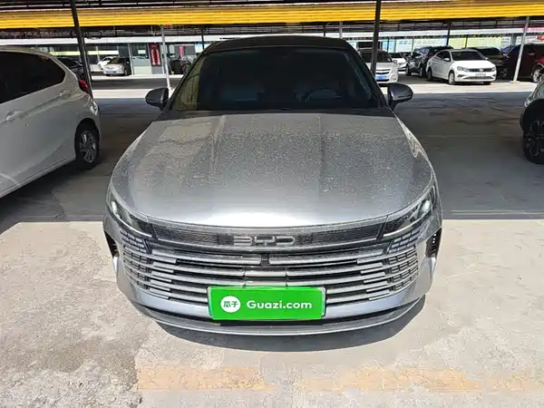 BYD Destroyer 05 2024