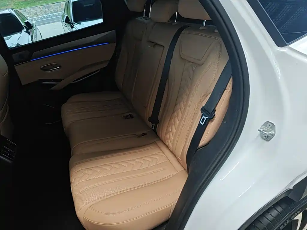BYD L DM-i 2024 — фото 17