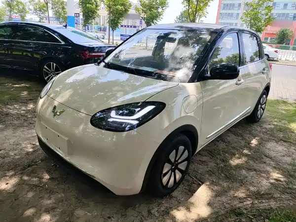 Wuling Bingo 2025
