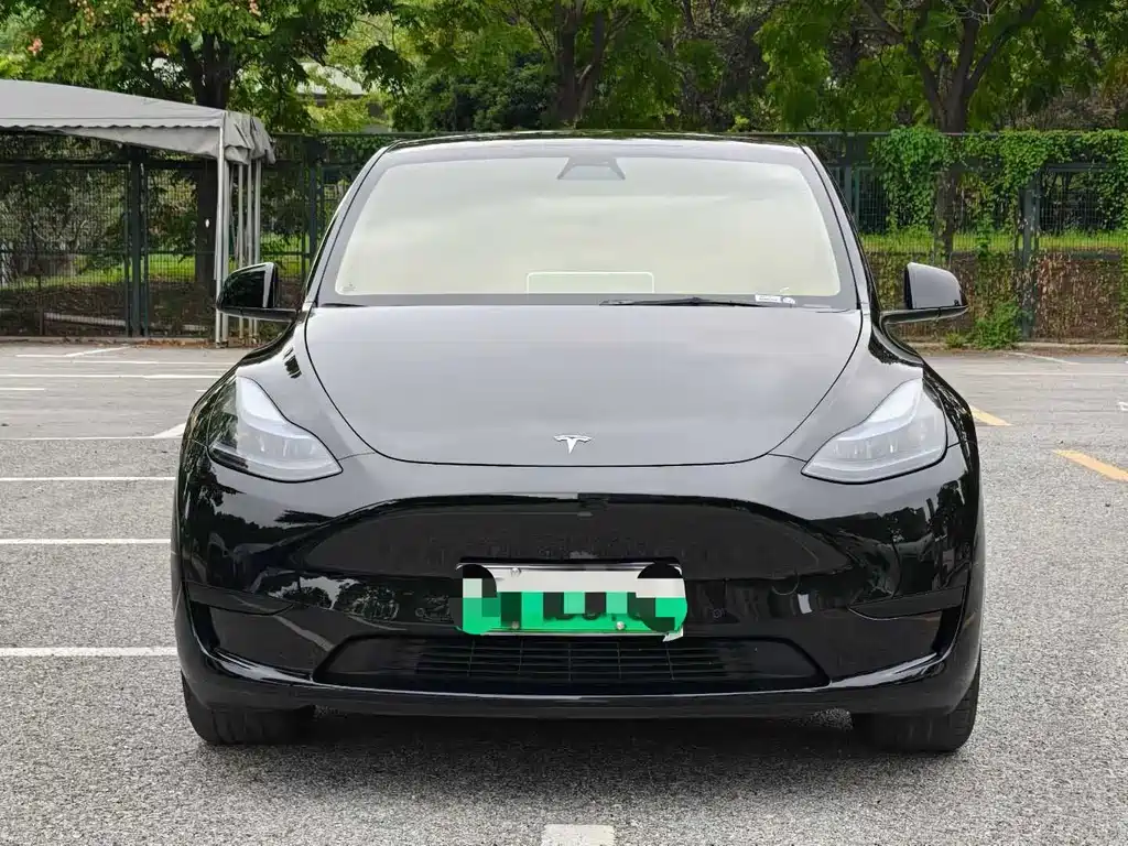 Tesla Model Y 2024 — фото 2
