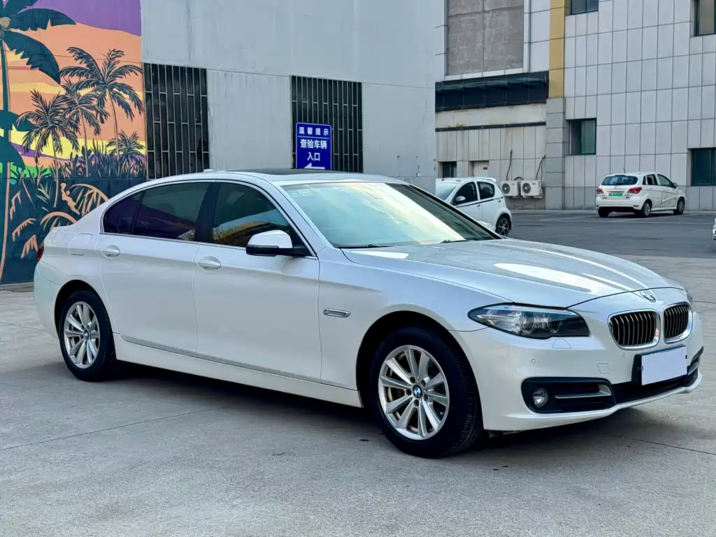 BMW 5 Series 2014 — фото 1