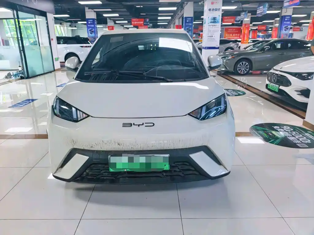 BYD Seagull 2024