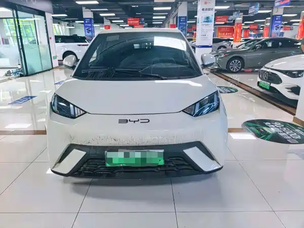 BYD Seagull 2024