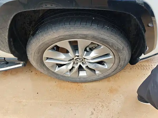 Toyota Wildlander 2025