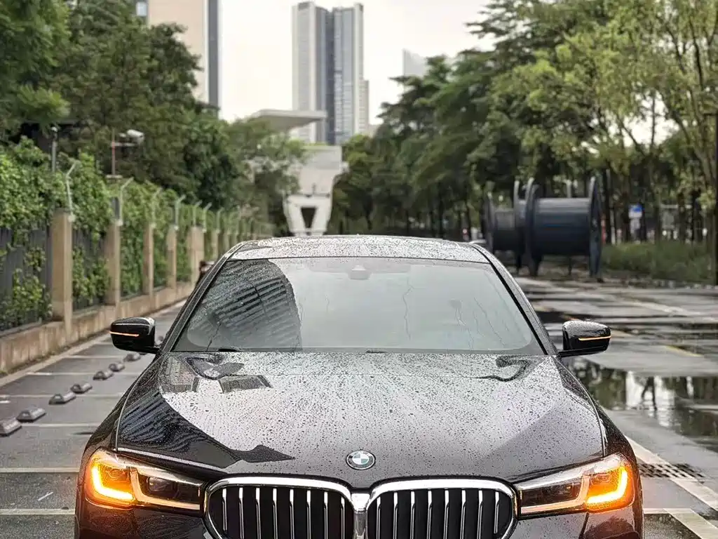BMW 5 Series New Energy 2021