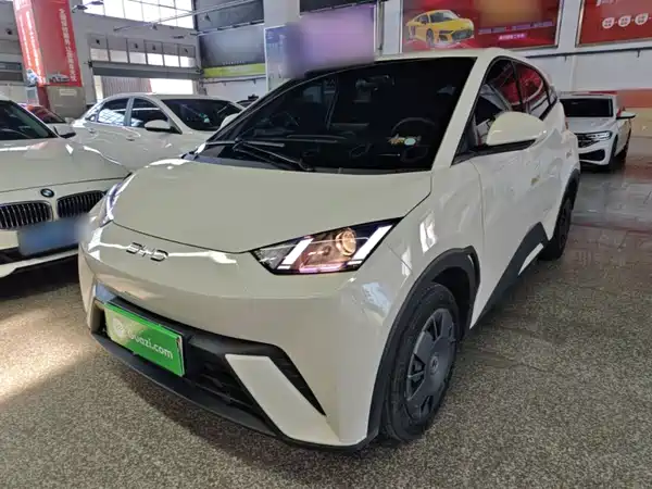 BYD Seagull 2024