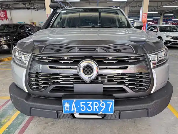 Great Wall Poer 2021