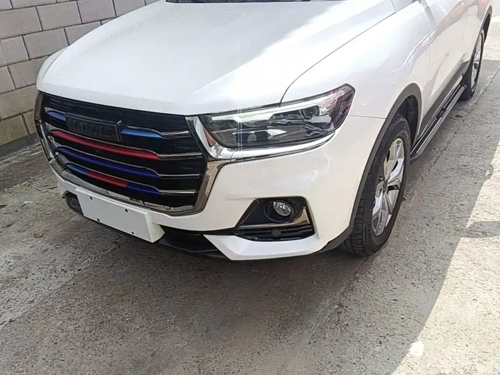 Haval H6 2021 — фото 18