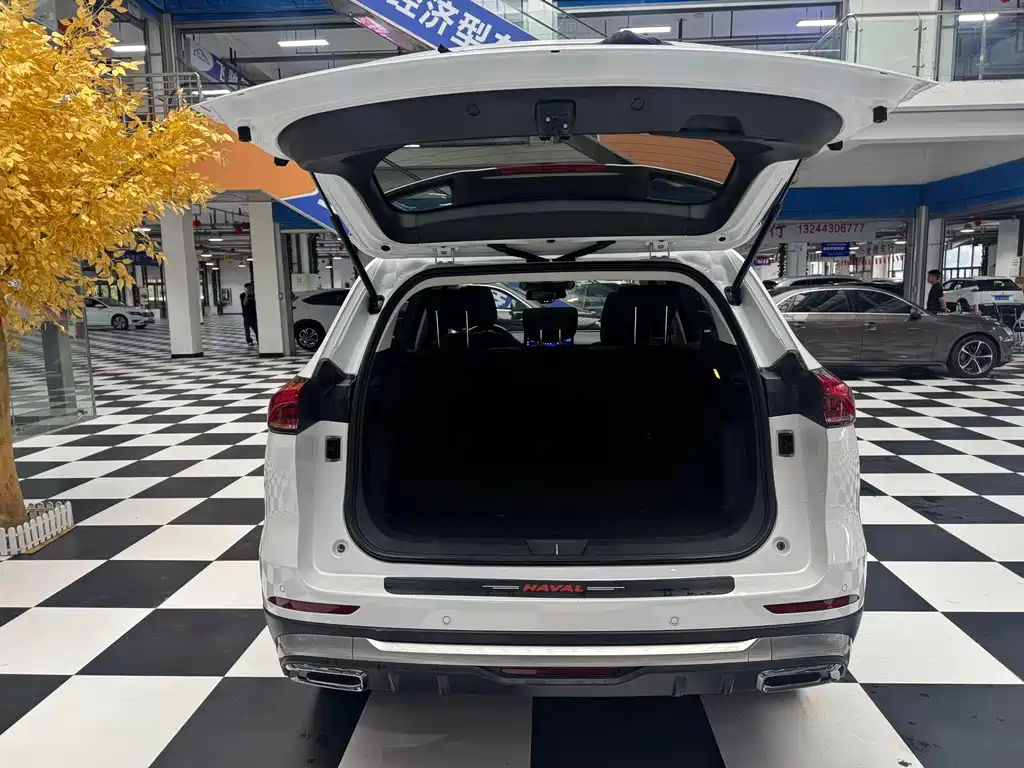Haval H6 2022 — фото 10