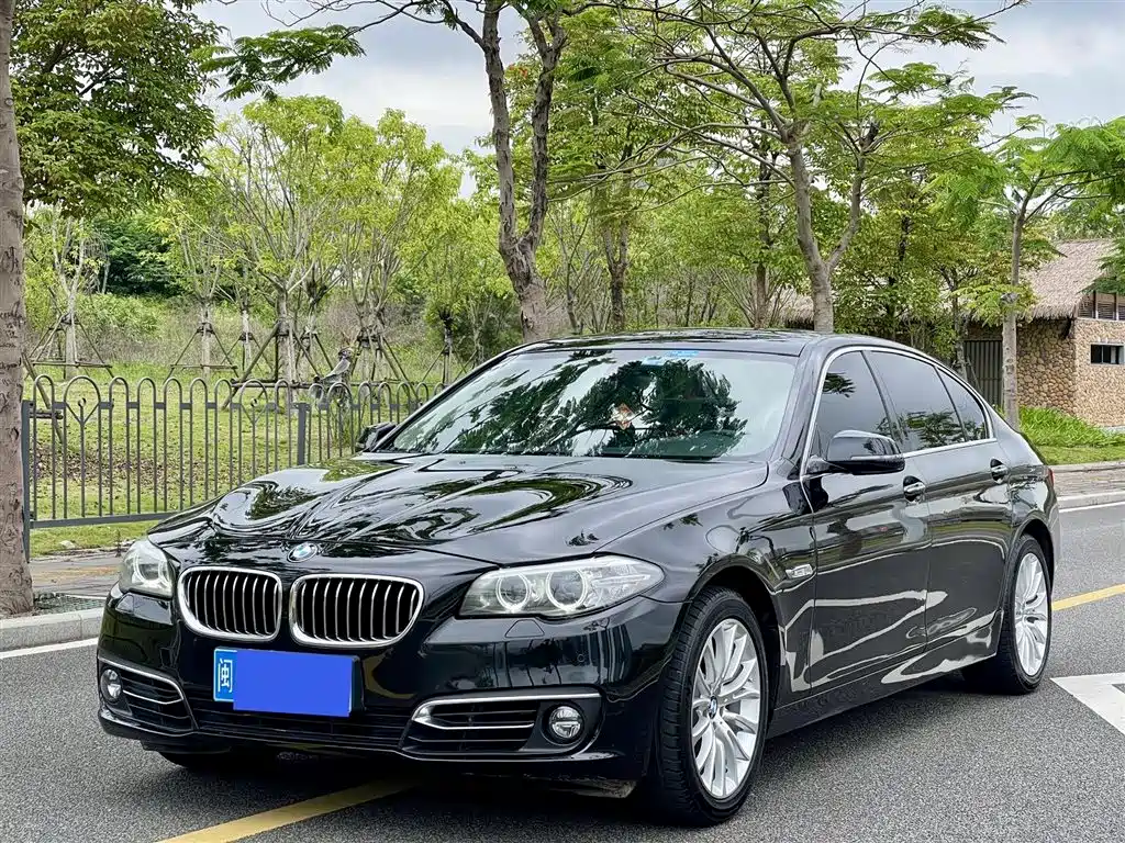 BMW 5 Series 2014 — фото 3