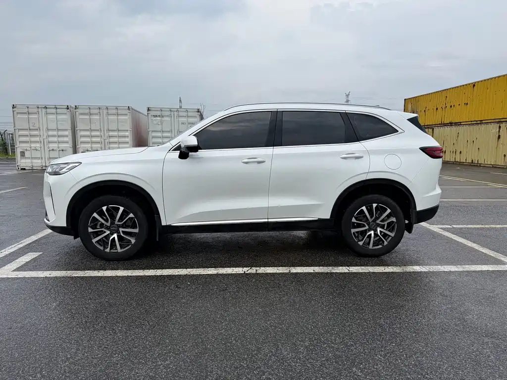 Haval H6 2021 — фото 19