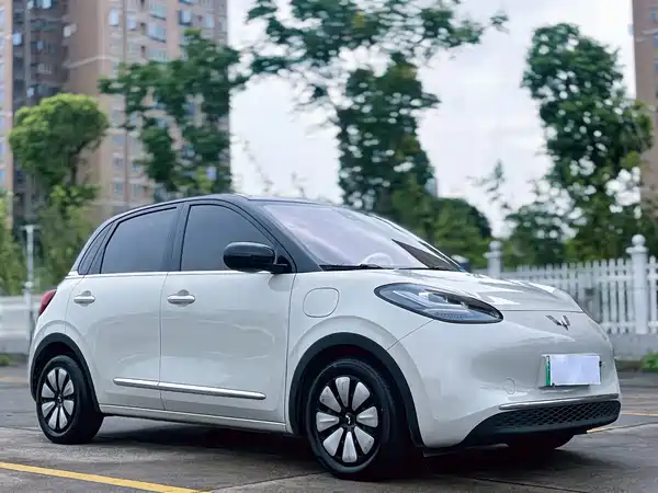 Wuling Bingo 2024