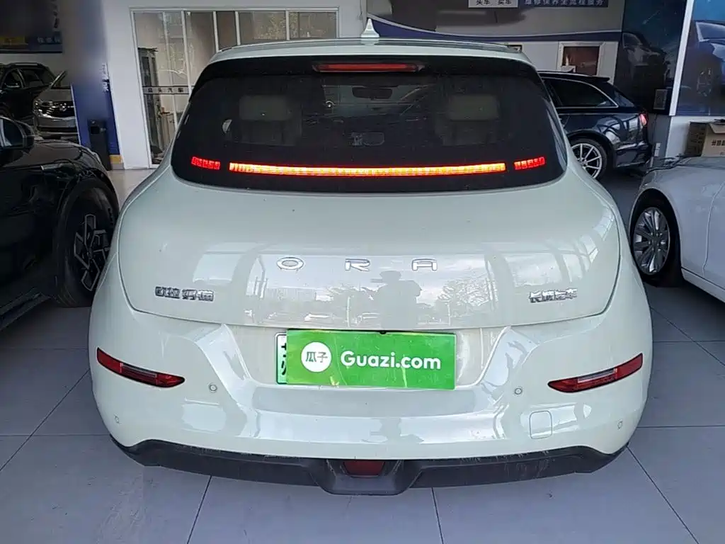 Ora Good Cat 2022