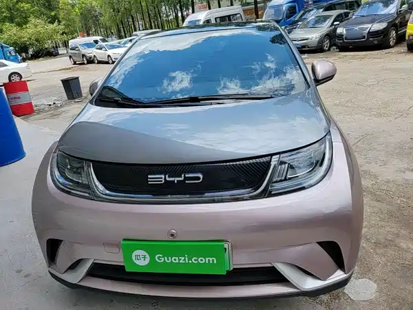 BYD Dolphin 2022
