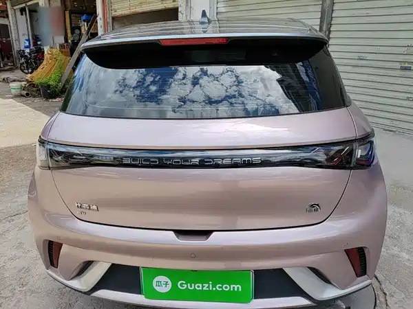 BYD Dolphin 2022