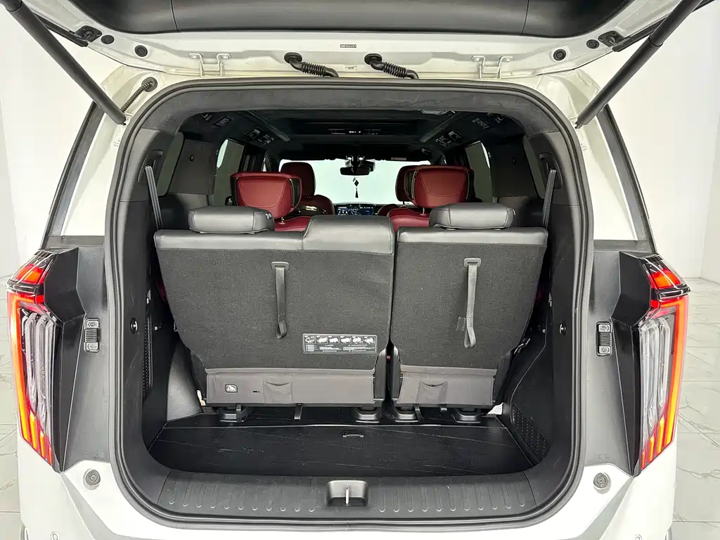GAC Motor Trumpchi M8 2023 — фото 22