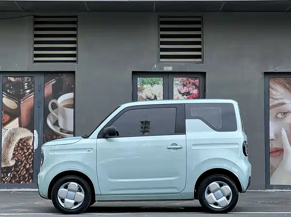 Geely Galaxy Panda 2024