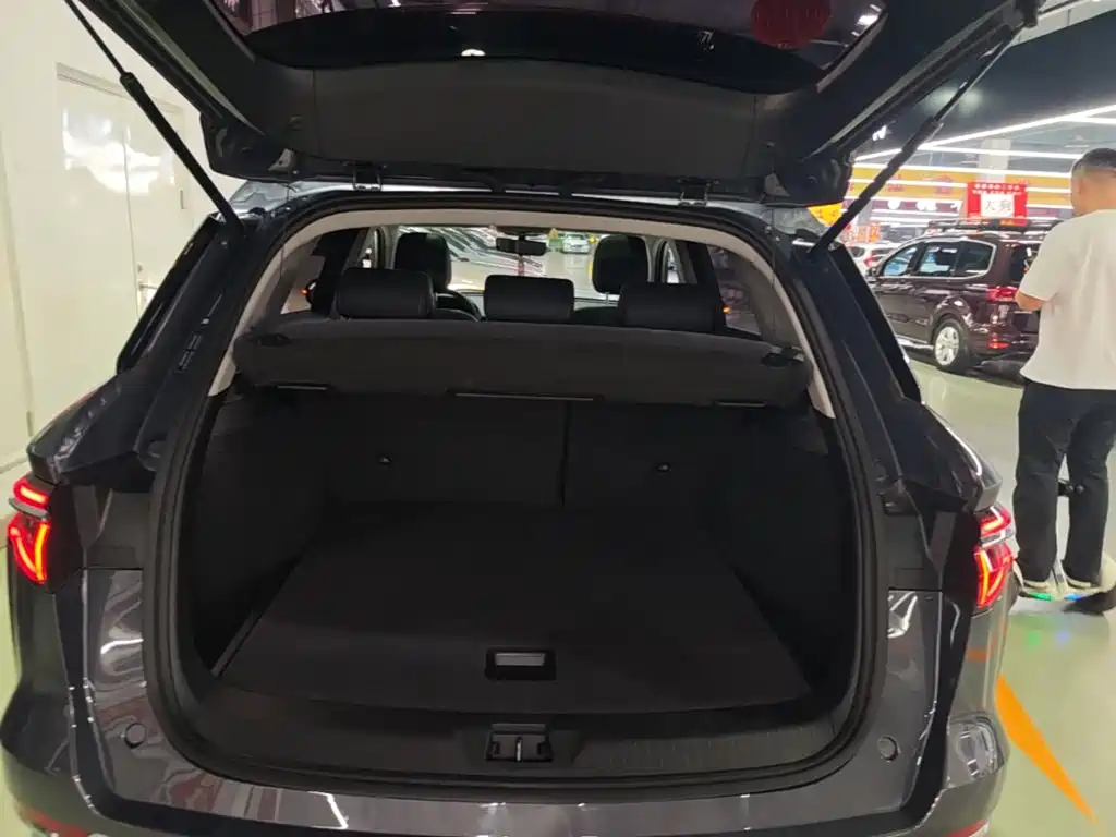 BYD Pro New Energy 2020 — фото 19