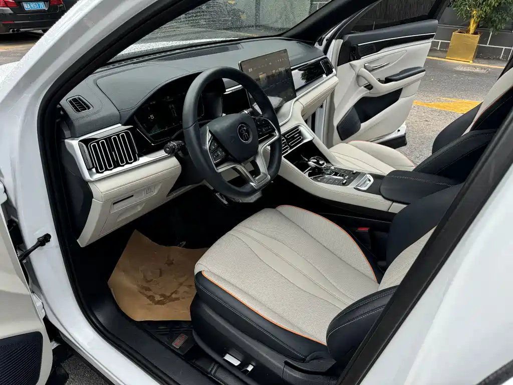 BYD Song PLUS New Energy 2022 — фото 10