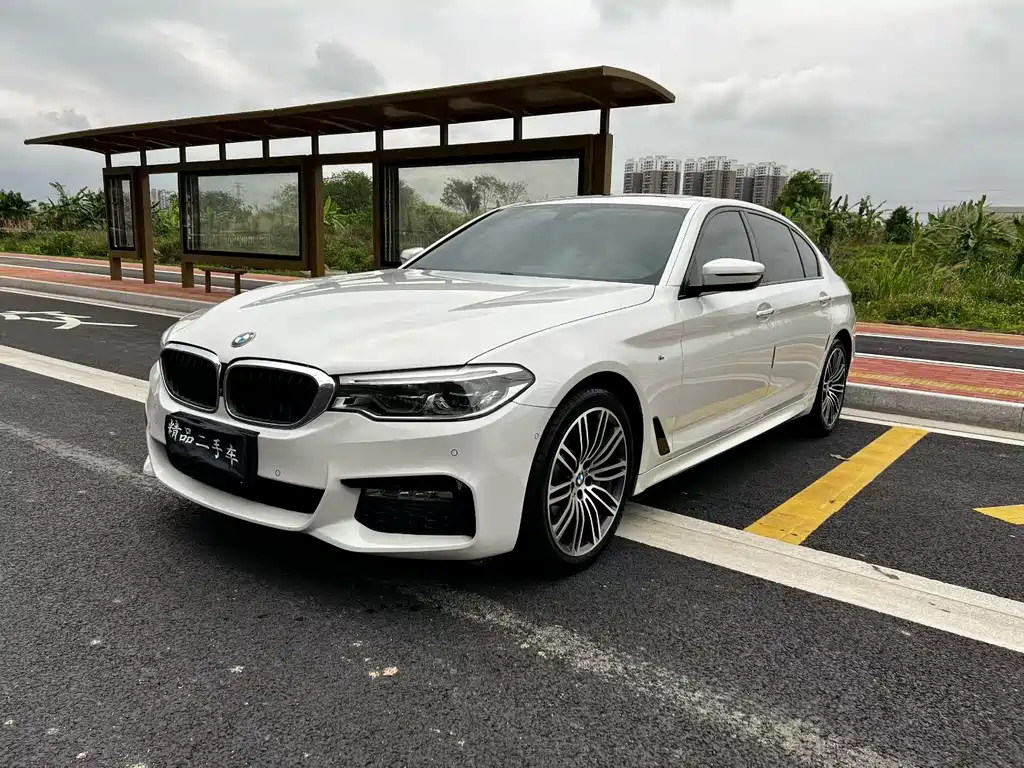 BMW 5 Series 2017 — фото 1