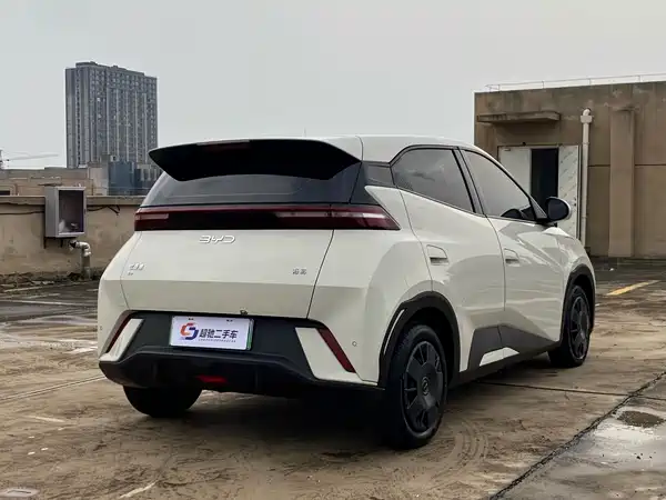 BYD Seagull 2024