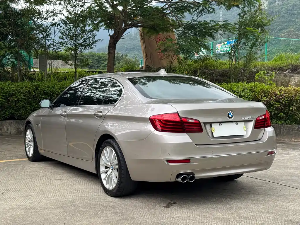 BMW 5 Series 2016 — фото 16