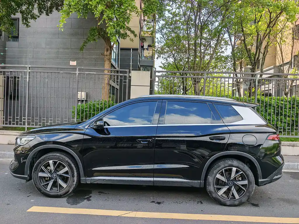 BYD Pro New Energy 2024