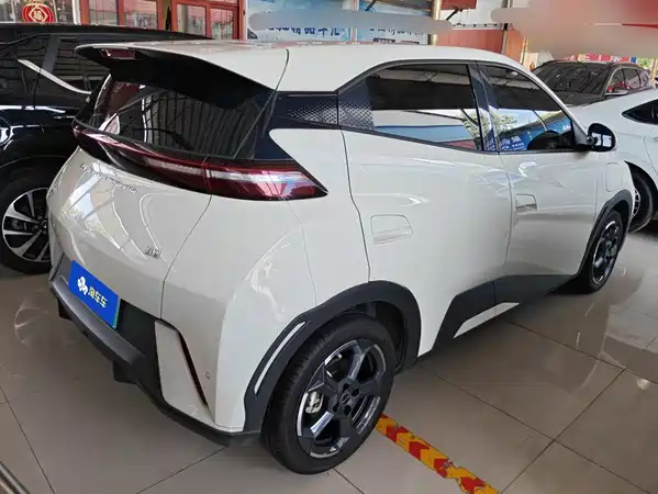 BYD Seagull 2024